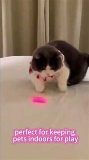#cats #catstoys #petsstor copy the link and paste it into Google https://inpetsstore.myshopif.com