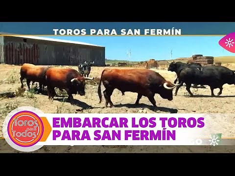 La delicada maniobra de embarcar los toros para San Fermín