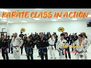 Watch This Karate Class in Action! | Beginner to Advanced Technique