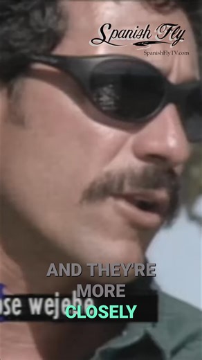 33K views · 502 reactions | Cobia might look like little sharks, but...