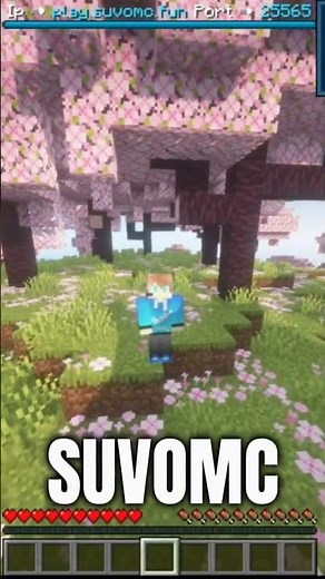 SuvoMC Season 2 | Java + PE | 24/7 | SMP | #lifestealsmp #smp #howtojoinsmpinminecraftpe