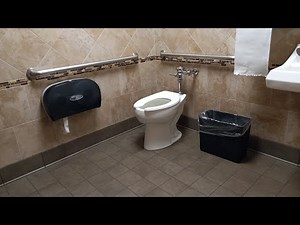 Toilet Flush At Hospital (Intense)