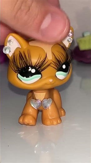 LPS class of 09 #lps #foryou #littlestpetshop