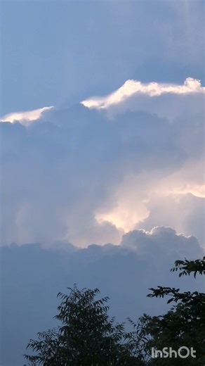 #new#nature#newsong#viral#love#shortsfeed#shortvideo#shorts#reels#cute#edit#wow#beautiful#anime#like