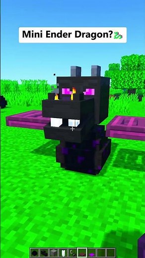 How to make a mini ENDER dragon in Minecraft!