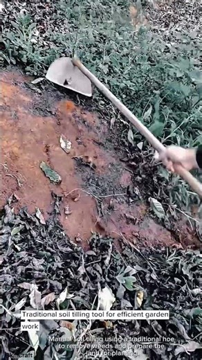 Traditional soil tilling tool for efficient garden work