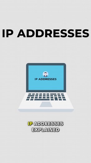 Understanding IP Addresses with a Feline Twist