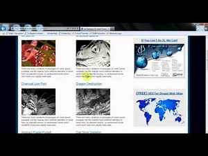 Free Tutorials, Set up, Install, Configure Drupal Commerce For All Store Needs