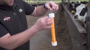 Effective fly control requires a comprehensive Integrated Pest Management (IPM) program. On any location, a proper IPM program requires three key steps: planning, implementation, and evaluation. Learn more in this video from Central Life Sciences: https://bit.ly/4cUyQDb | American Cattlemen | Facebook