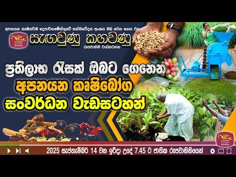 ප්‍රතිලාභ රැසක් ඔබට ගෙනෙන අපනයන කෘෂි බෝග සංවර්ධන වැඩසටහන්