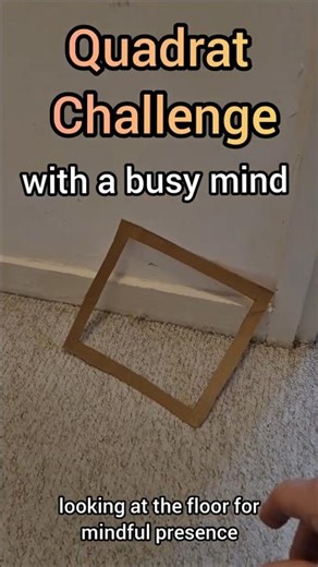Quadrat Challenge with a busy mind