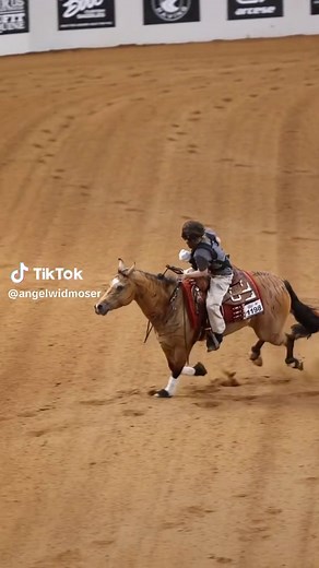 Reining Horse Techniques and Fun Freestyle Performance