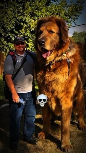 Power of transformation ☠️