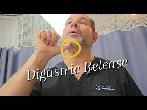 Digastric Release: Jaw Pain Relief ☝️
