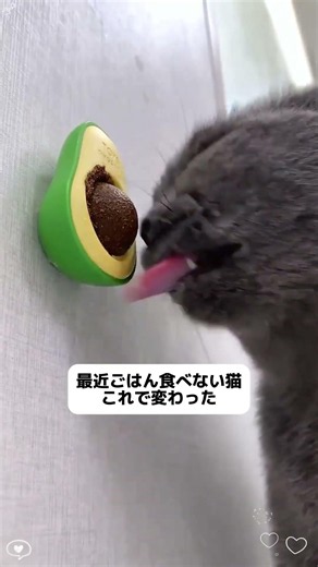 猫が夢中になるアボカド型キャットニップトイ🥑🐱 360°くるくる回って、飽きないおもちゃ！#猫のいる暮らし#猫好きさんと繋がりたい#猫おもちゃ#キャットニップ#癒し動画