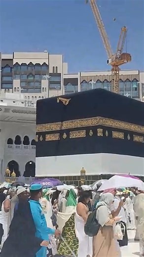 Allah Ek Malik | Allah Ek Raheem 🤍 Morning Zikr Hamd #hamd #zikr #islamicreminder #islamiccontent