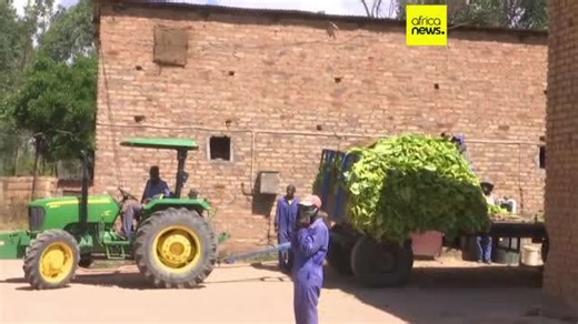 First payments made to white farmers affected by land reforms in Zimbabwe