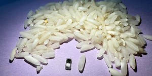 How Will This Rice-Sized Pacemaker Change the Future of Cardiac Care?