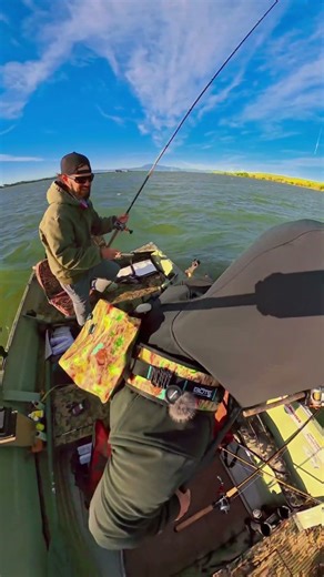 GIANT Striper Hits While Trolling! 💪🐟