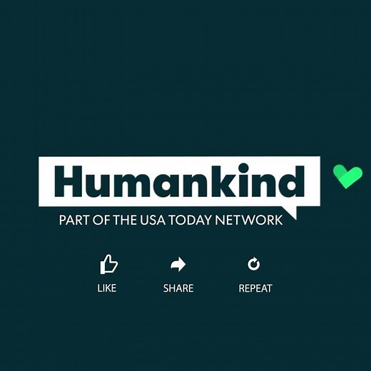 Shih Tzu moonlights as Ewok