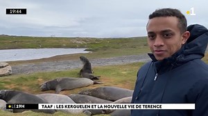 44K views · 658 reactions | Rencontre avec Terrence Tierpied, un jeune avironnais de 21 ans qui a choisi de vivre l'aventure dans les îles Kerguelen, à l'image de nombreux autres Réunionnais | Réunion la 1ère | Facebook