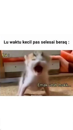 The Most Relatable Meme Collection! Which One’s Your Favorite? ✨ #shorts