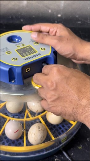 Mian Inventions on Reels