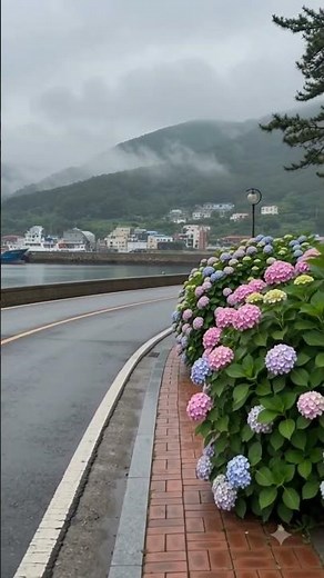 거제 가볼만한곳 거제도 수국축제 수국명소 5