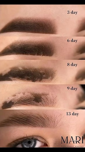 PMUHub | This is a really cool way to showcase a powder brows healing process! The journey can be intense but the results are so worth it 😍... | Instagram