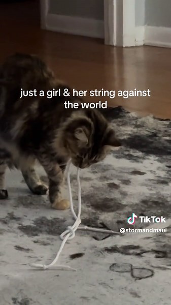 Maui and Her String: A Cat's Playful Adventure