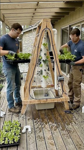 How to Build a DIY Hydroponic A-Frame Tower! 🥬 (Massive Soil-Free Harvest)