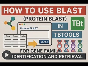 How to Use BLAST (Protein BLAST) in TBtools for Gene Family Identification and Retrieval
