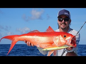 FIRST DROP! Slow Pitch Jigging Deep Water Queen Snapper! (Catch/Clean/Cook)