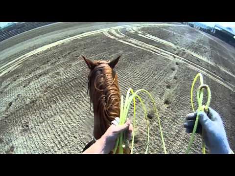 Team Roping Position 4: Handling steers that run Hard