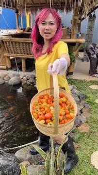 HARVEST TOMATOES IN THE GARDEN #ngeshortsbareng #holidaywithshorts