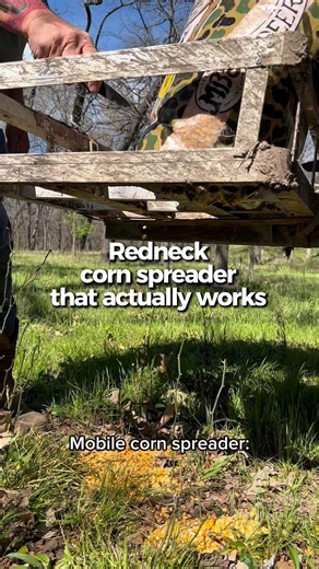 Spreading Corn for Hog Hunting in Texas | Simple Setup