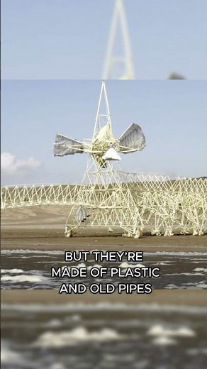 Strandbeests #KineticArt #BeachCreatures #ArtThatMoves #ModernArt