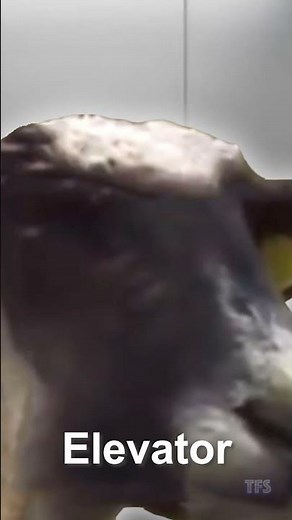 Screaming Goat Meme Sound Effects