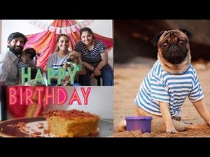 CELEBRATED OUR PUG’S 5th BIRTHDAY | BAKED A DOGS’ CAKE WITHOUT OVEN (WITH FULL RECIPE)