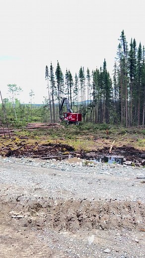 #logginglifestyle #logger #loggingmachine #woodworking #quebec #abateuse #forestry #loggerlife #logginglife #logging #logmax #eltec #chapais