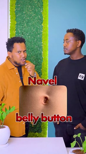 #english #language #ቋንቋ #myenglish #languageschool