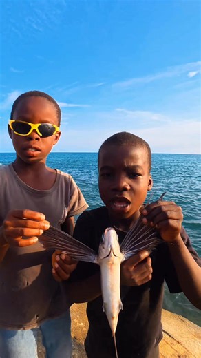 Amazing Flying Fish: Nature's Extraordinary Swimmers