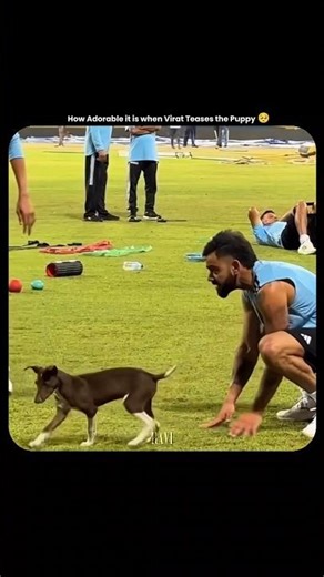 Virat playing with Puppy 🥺 #cricket #viratkohli #cricketlover #kingkohli #cricketlover #cricket