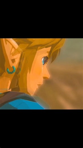 The perfect duo - Link & Zelda #zelda #zeldaedit #shorts #botw #ageofcalamity #epic #link #fyp