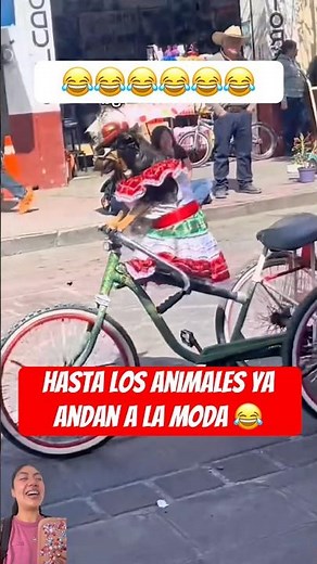 Better Than Me 😂 #humor #fun #comedy #funfacts #animals #fashion