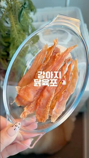 강아지 닭가슴살 육포 만들기 🍽️ #강아지수제간식 #애견수제간식 #강아지육포 #강아지간식 #반려견간식 #닭가슴살간식