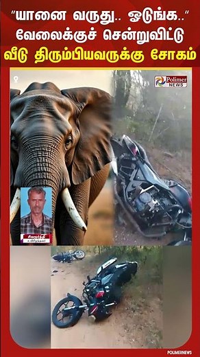 யானை வருது.. ஓடுங்க.. ஓடுங்க.. வேலைக்குச் சென்றுவிட்டு வீடு திரும்பியவருக்கு நடந்த சோகம்