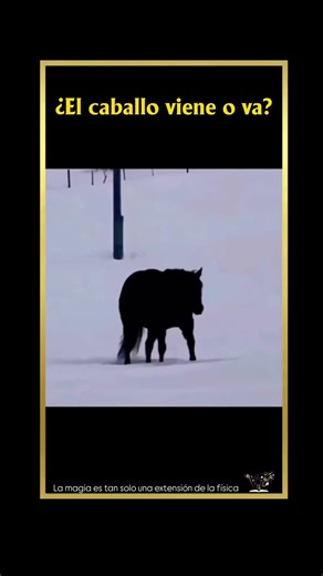 ¿El CABALLO viene o va?