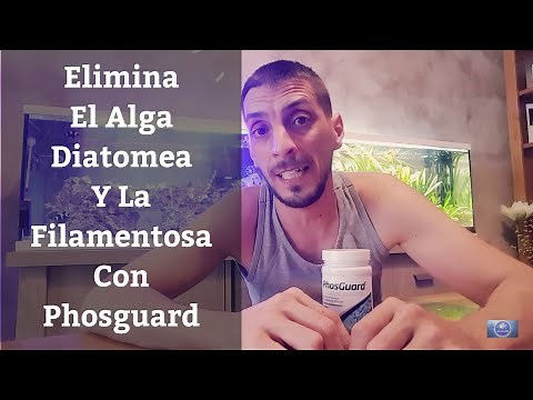 🔵 PhosGuard De Seachem,Baja Los Silicatos Y Fosfatos De Tu Acuario De un Plumazo (Acuarios MB)