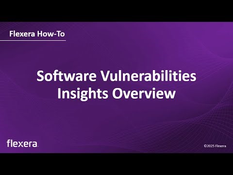 Software Vulnerabilities Insights Overview